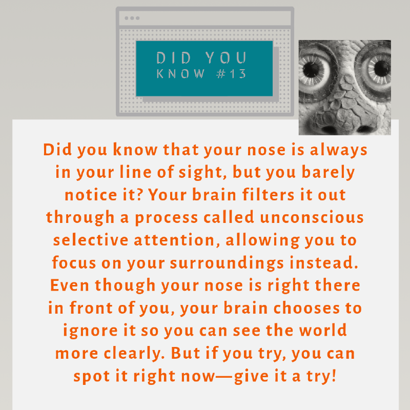 Did You Know #13